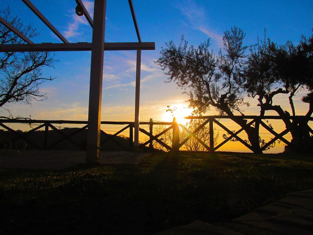 סנט אגאתה סוי דואה גולפי Villa Talea מראה חיצוני תמונה